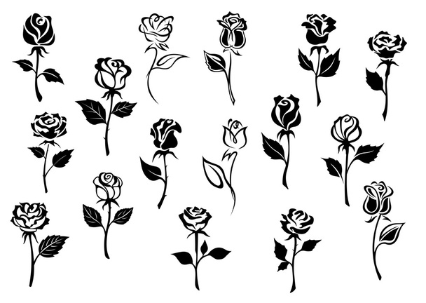 黒と白のバラの花 - ベクター画像