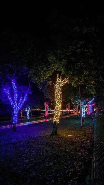 Emballage d'arbres extérieurs avec des lumières LED colorées pour la décoration du parc. - Photo, image