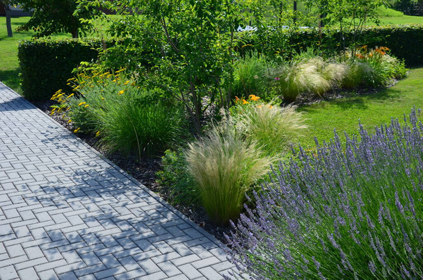 terrace n garden in the park near the park house. stone steps slabs with light stone. On the edge of the wall, blue lavender grows with perennials. lawns and concrete pavers, - Foto, Bild