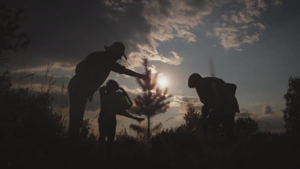 Silhouette of happy family planting, watering trees in forest at sunset outdoor. Volunteers together help nature : reforestation, agriculture work, vegetation growthing, sprout growing for planet safe - Felvétel, videó