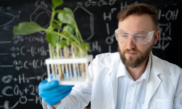 Scientifique biochimiste mène des expériences avec des plantes en laboratoire, biotechnologie avec scientifique dans le concept de laboratoire - Photo, image