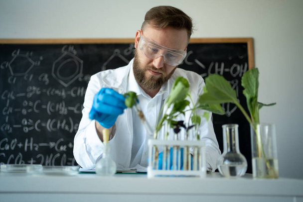 bioquímico en guantes de látex tocando tubo de ensayo con planta pequeña mientras hace experimentos en laboratorio de biotecnología, espacio de copia - Foto, Imagen
