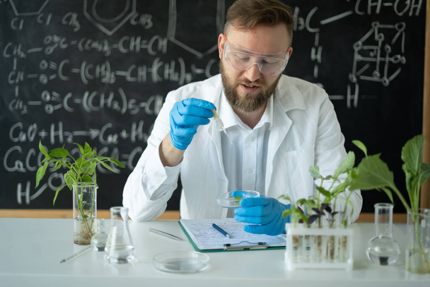 Científico investigador de laboratorio hombre lleva a cabo experimentos en un laboratorio de biotecnología con el uso de gotero y planta en un Petry Dish. concepto de biología y ciencia - Foto, Imagen