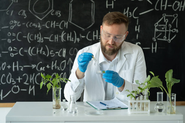 Биотехнолог в современной лаборатории проводит эксперименты с синтезирующими соединениями с использованием капельниц и растений в пробирке. Ученый, сидящий в лаборатории на фоне доски. ГМО - Фото, изображение