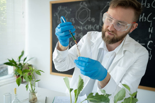 Serious male genetic scientist in white coat innovative research in plant laboratory, developing GMO or pesticides and injecting with chemical additive - Fotoğraf, Görsel