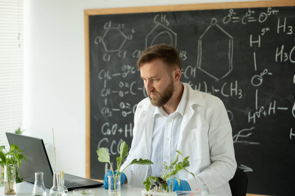 Male scientist working on a laptop computer, creating lab-grown food and plants for vegetarians. Microbiologist working on molecule samples in laboratory - Photo, Image