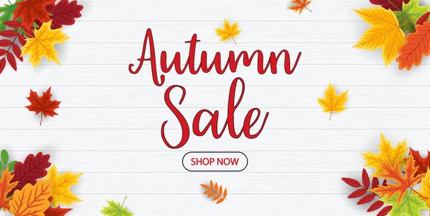 Autumn sale on wooden background. Promotion banner with fall leaves offer. Card for autumn and thanksgiving discount. Special advertising poster for shop now. Vector. - ベクター画像