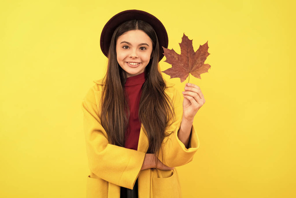 lachende tiener meisje in hoed en jas met herfst esdoorn blad op gele achtergrond, schoonheid. - Foto, afbeelding