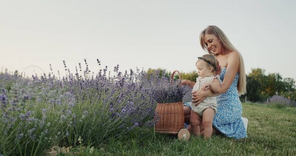 Η μαμά με μια μικρή κόρη κοντά σε ένα καλάθι με λεβάντα σε ένα χωράφι με λεβάντα. Έννοια ομορφιάς και υγείας. - Φωτογραφία, εικόνα