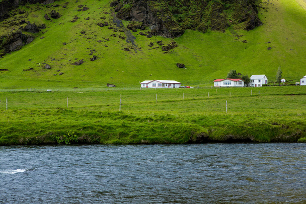 Picturesque landscape with green nature in Iceland during summer. Image with a very quiet and innocent nature. - Foto, Imagen