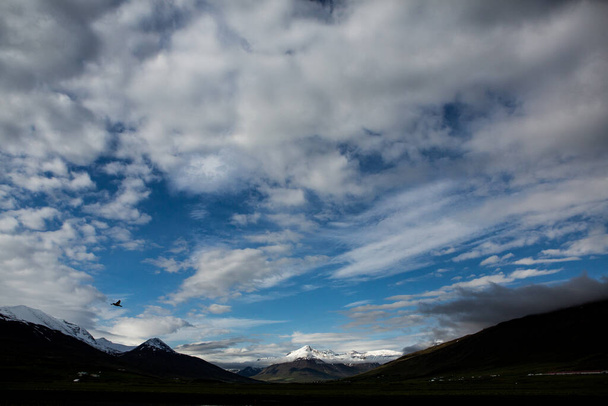 Malebná krajina se zelenou přírodou na Islandu v létě. Obrázek s velmi tichou a nevinnou povahou. - Fotografie, Obrázek
