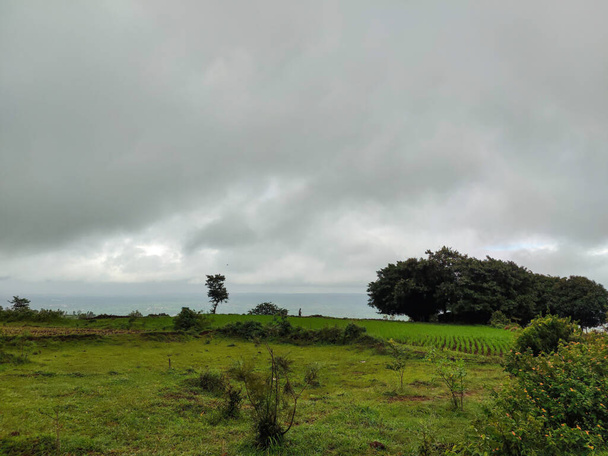 Stock photo of scenic landscape on top of the hill, land cover with green grass, plants with big banyan tree. Dark clouds on background .Picture captured during monsoon season at Kolhapur, Maharashtra - Photo, Image