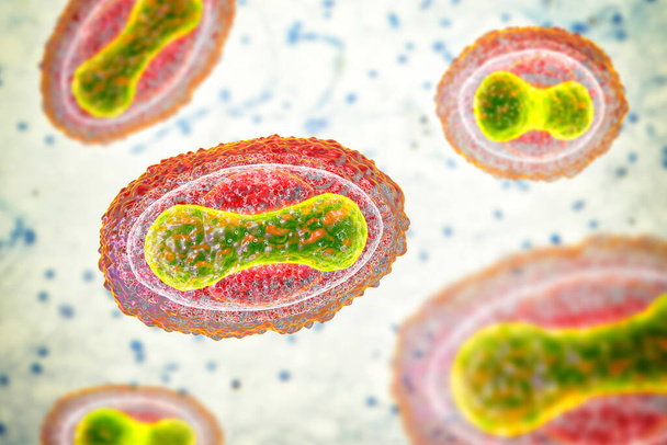 Virus de la variola, un virus de la familia Orthopoxviridae que causa la viruela, y otros virus de la familia de la viruela, la viruela, el virus del molusco contagioso, ilustración 3D - Foto, imagen