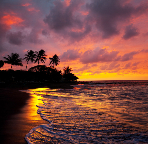 Trooppinen ranta Havaijilla
 - Valokuva, kuva