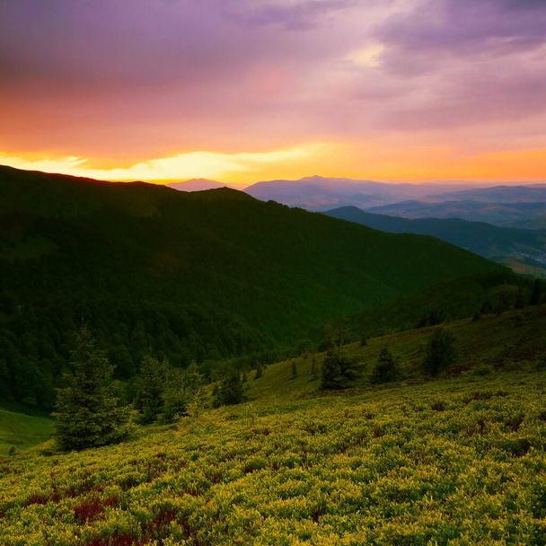 spectacular summer scenery, awesome sunset landscape, beautiful nature background in the mountains, Carpathian mountains, Ukraine, Europe - Fotó, kép