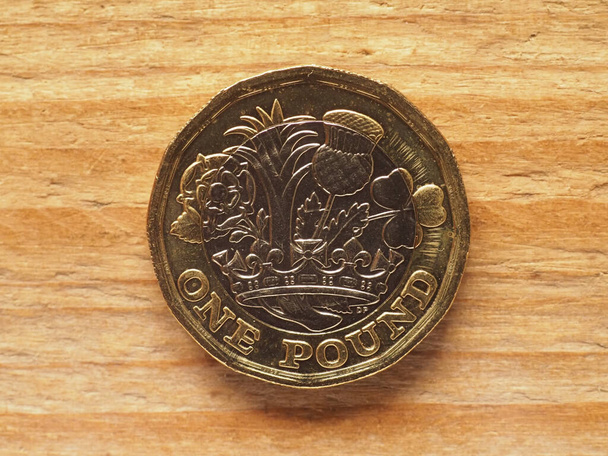 Одна фунтова монета на зворотному боці показує нації Корони, валюту Сполученого Королівства. - Фото, зображення