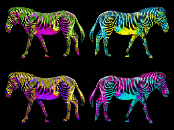 Zebras unterzeichnen Illustration Pop-Art-Hintergrund-Symbol mit Farbflecken - Foto, Bild