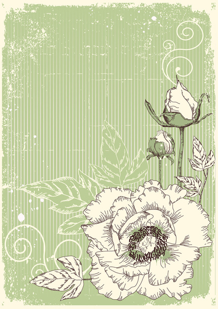 flowers grunge postcard with peonies - Wektor, obraz