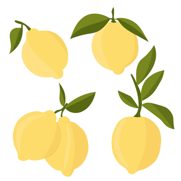 Conjunto de limones. Cítricos cortando en rodajas, rodajas, círculos. Limones frescos maduros en una rama de árbol. Ilustración plana del vector - Vector, imagen