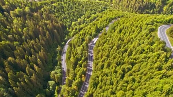 Vista aérea de la naturaleza en los Cárpatos en Rumania. Carretera con coches en movimiento, colinas cubiertas de exuberante bosque - Imágenes, Vídeo