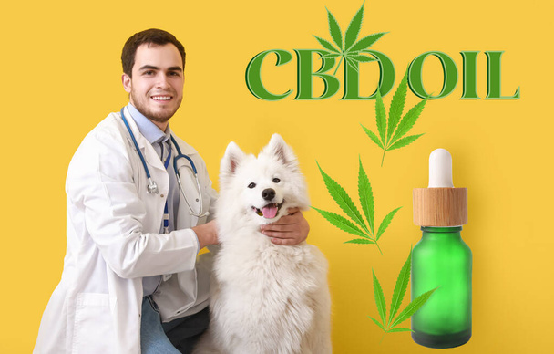 Банер з ветеринаром, милий пес і пляшка олії CBD на жовтому тлі - Фото, зображення