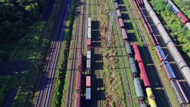 Containerfrachtzug im Bahnhof, Güterbahnverkehr - Filmmaterial, Video