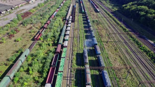 Aerial view from flying drone of colorful freight trains on the railway station - Materiaali, video