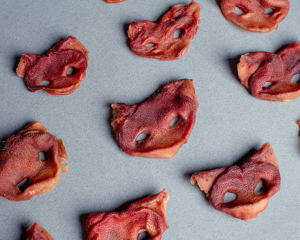 Natural dried treats for dogs. Treats for rewarding and training dogs. Dried meat products for dogs. Animal care.Selective focus. Advertisement for dog treats. pig nose. - 写真・画像