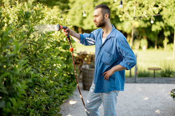 Красивий хлопець поливає зелену огорожу в саду. Чоловік доглядає за кущами на задньому дворі свого будинку в літній час
 - Фото, зображення