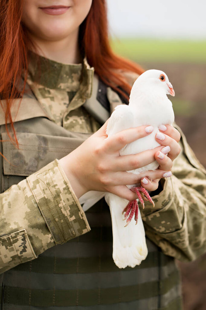 Een mooie Oekraïense jonge vrouw in een kogelvrij vest met een witte duif in haar handen, een symbool van vrede in Oekraïne - Foto, afbeelding