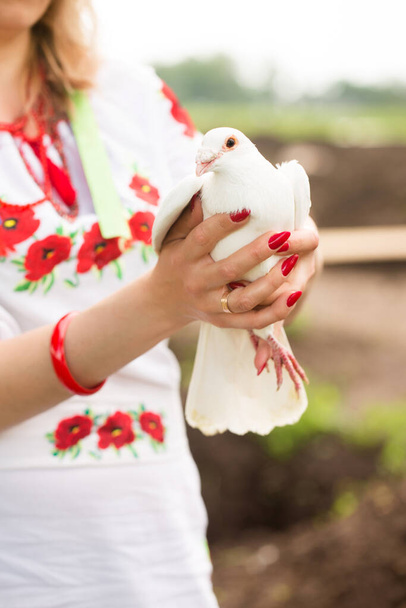 Krásná ukrajinská žena v ukrajinských národních vyšívaných šatech s bílou holubicí v rukou, symbol míru na Ukrajině - Fotografie, Obrázek