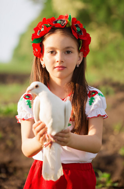 Una hermosa chica ucraniana en vestido bordado nacional ucraniano con una paloma blanca en sus manos, un símbolo de paz en Ucrania - Foto, imagen