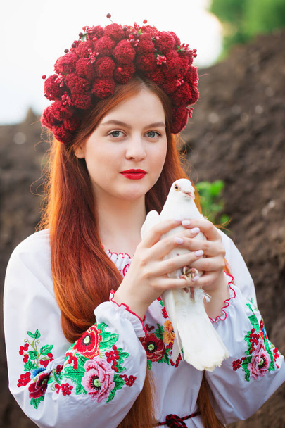 Μια όμορφη Ουκρανή γυναίκα στην Ουκρανία εθνικό κεντημένο φόρεμα με ένα λευκό περιστέρι στα χέρια της, ένα σύμβολο της ειρήνης στην Ουκρανία - Φωτογραφία, εικόνα