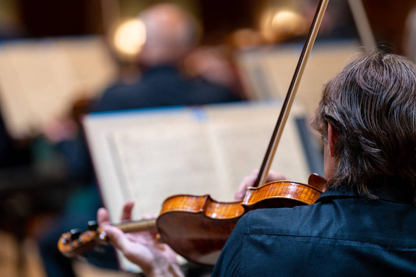 un violinista toca en un concierto en la Filarmónica. - Foto, imagen
