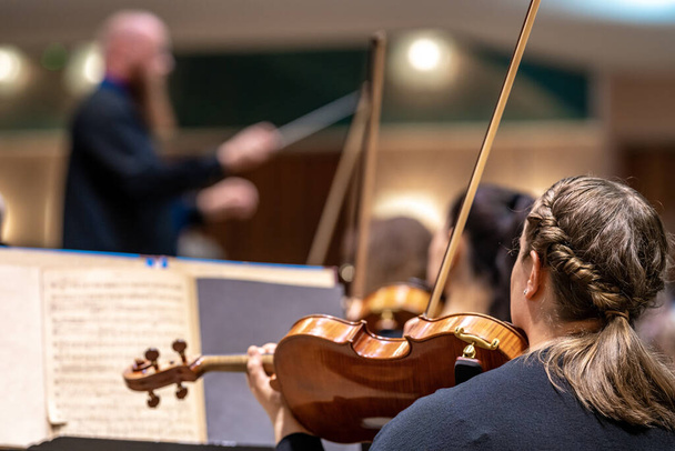 skrzypek gra na koncercie w Filharmonii. - Zdjęcie, obraz