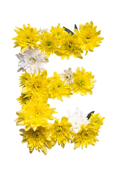 Συλλογή γραμμάτων ABC. Γράμμα Ε από αληθινά φύλλα και λουλούδια σε λευκό φόντο - Φωτογραφία, εικόνα