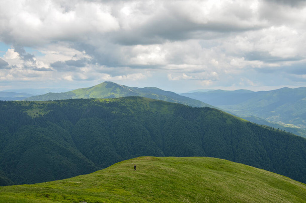 Travnaté kopce s bukovými lesy pod nádhernou oblačnou krajinou. Krásná krajina horského hřebene Karpat, Ukrajina  - Fotografie, Obrázek