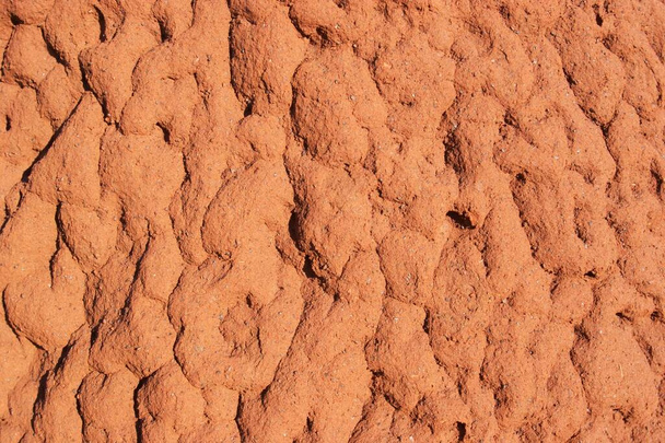 Detail of a termite hill Karijini National Park Pilbara region western australia WA - Φωτογραφία, εικόνα