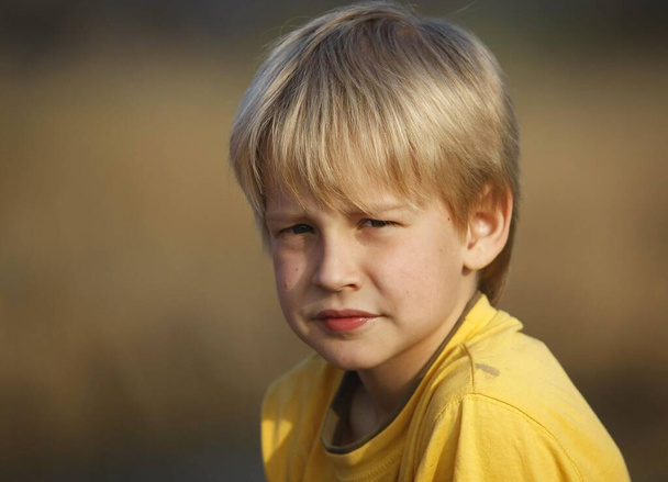 Boy, 8, portrait, Hohenlohe, Germany, Europe - Fotografie, Obrázek