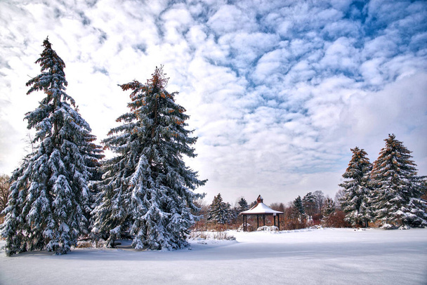 公園の吹雪の後の冬の風景 - 写真・画像