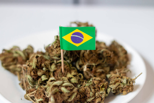 Theme of recreational marijuana in brazil - Foto, Imagen