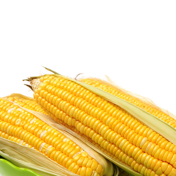 Hlava žlutá kukuřice - Fotografie, Obrázek