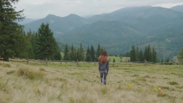 Młoda, długowłosa dziewczyna przechodzi przez polanę, patrząc na góry przed nami. Zielony las, szeroki strzał, widok z tyłu, dzień, zachmurzenie. Karpaty, Ukraina. Wysokiej jakości materiał 4k - Materiał filmowy, wideo