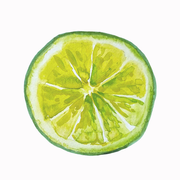 Watercolor hand drawn illustration fresh green lime slice on the white background - Fotó, kép