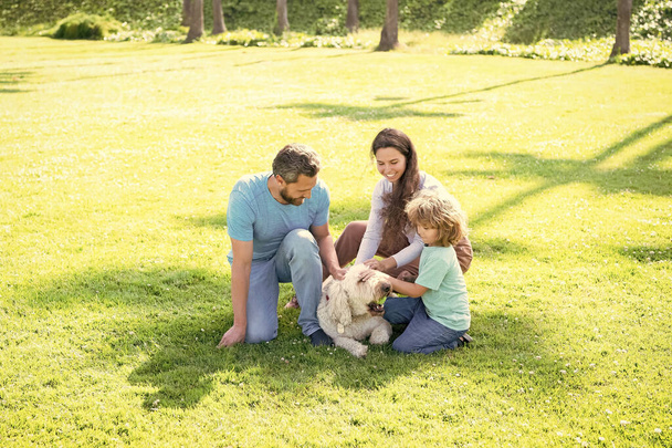 ευτυχισμένη οικογένεια της μητέρας μπαμπάς και παιδί γιος παίζει με κατοικίδιο ζώο σκυλί στο πάρκο καλοκαίρι πράσινο γρασίδι, καλοκαίρι. - Φωτογραφία, εικόνα