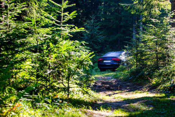夏の森の旅に駐車した車は - 写真・画像