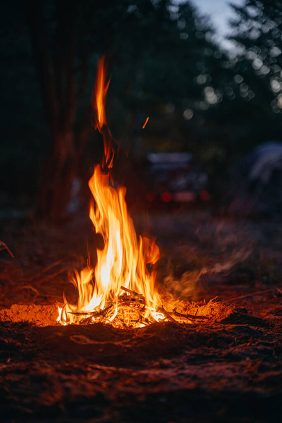 Μικρή φωτιά με απαλές φλόγες δίπλα σε ένα δάσος το βράδυ - Φωτογραφία, εικόνα