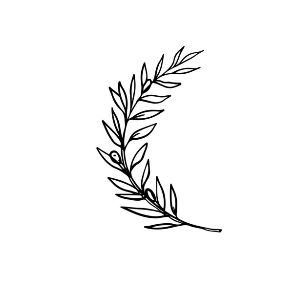 un disegno a linee di antica corona di ulivi greci - Vettoriali, immagini