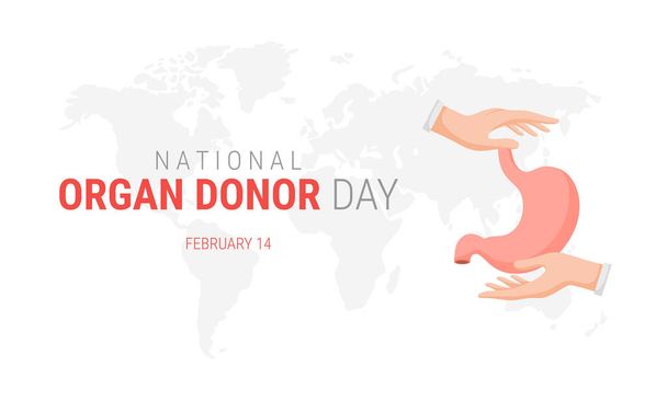National organ donor day with Stomach - Vektori, kuva