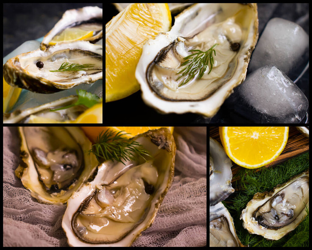 Huîtres fraîches, citron sur fond sombre - Photo, image